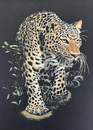 Caigle-Company-profile-29_09