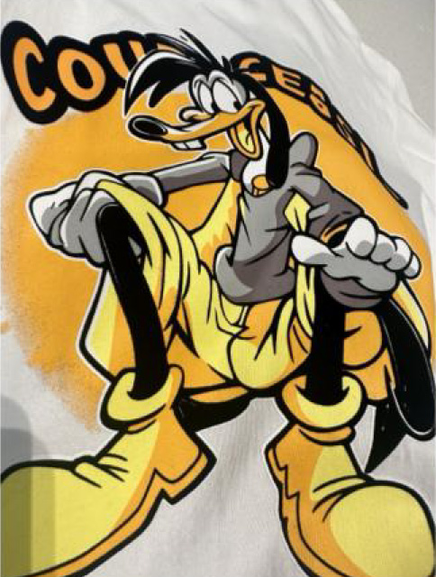 Caigle-Company-profile-30_05-06